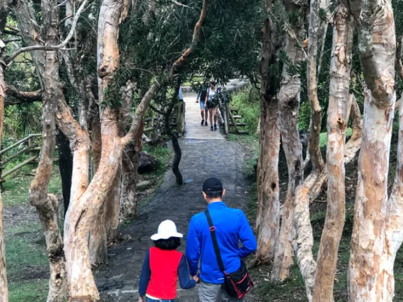 Path to Alexandra Falls