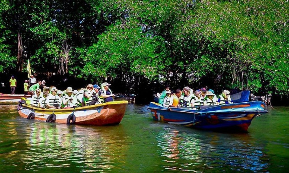 Bentota River