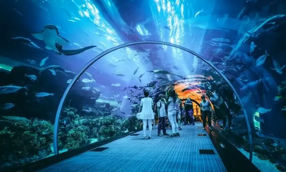 cover-for-aquarium-in-dubai