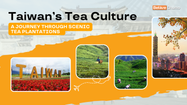 Taiwan’s Tea Culture: A Journey Through Scenic Tea Plantations