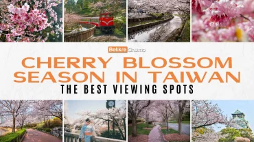 Cherry Blossom Season in Taiwan: The Best Viewing Spots