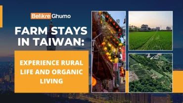 Farm Stays in Taiwan: Experience Rural Life and Organic Living