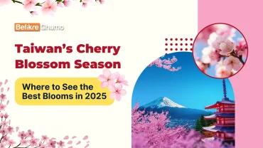 Taiwan’s Cherry Blossom Season: Where to See the Best Blooms in 2025