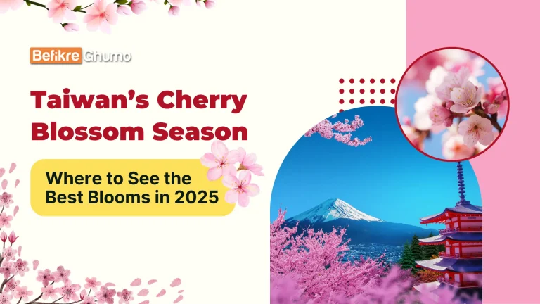 Taiwan’s Cherry Blossom Season: Where to See the Best Blooms in 2025